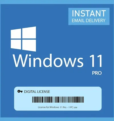 Windows 11 License